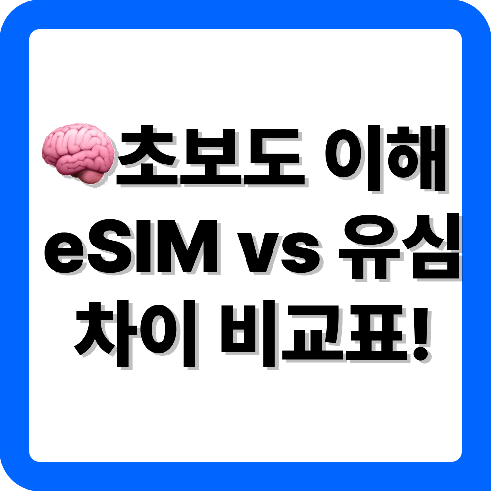 eSIM USIM 차이