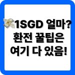 싱가포르 달러 환율 알아보기