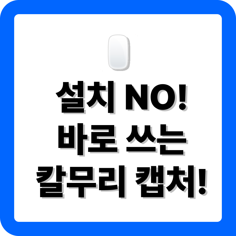 칼무리 다운로드 활용법