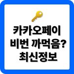 카카오페이 비밀번호 재설정