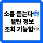 털린 내 정보 찾기
