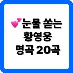 황영웅 노래모음 20곡 추천